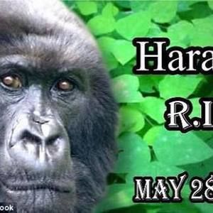 Meet your Posher, Nate